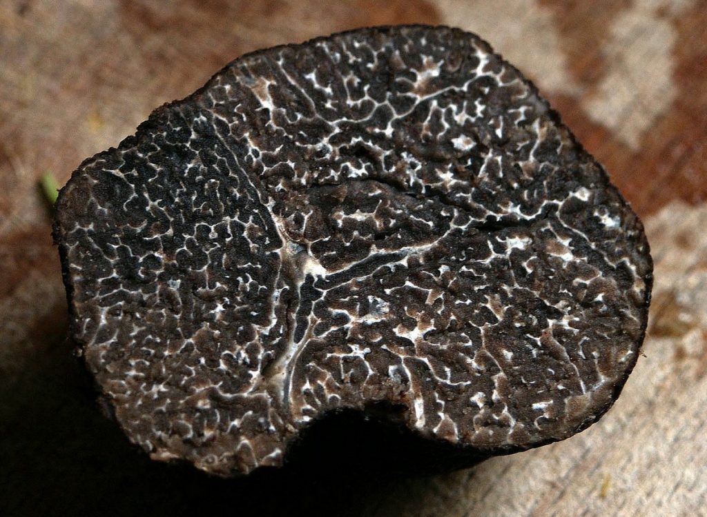 Black truffel